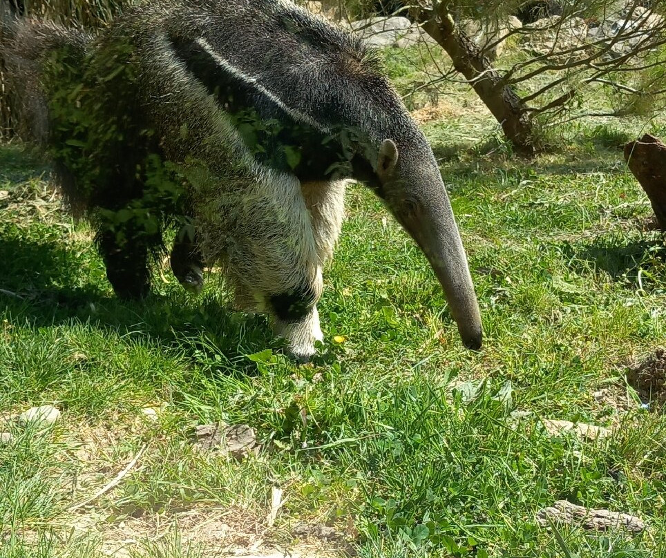 Les Jardins Animaliers Biotropica-Val de Reuil必去景点