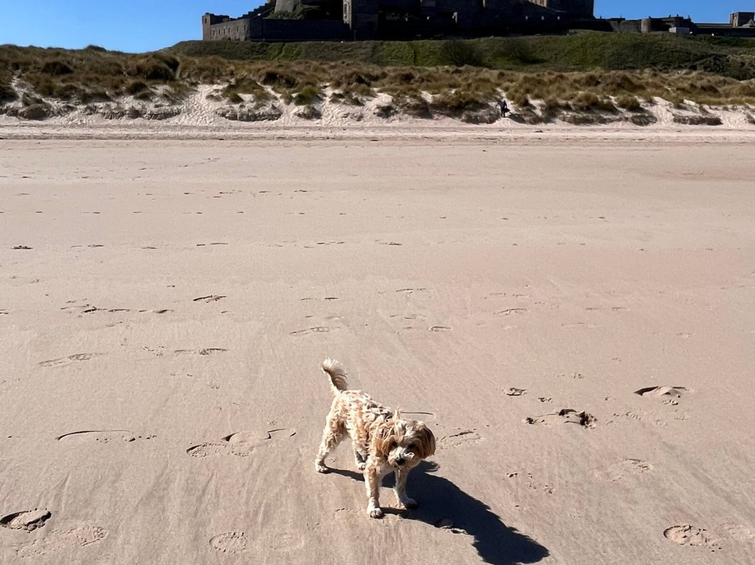 Bamburgh Beach-班堡必去景点