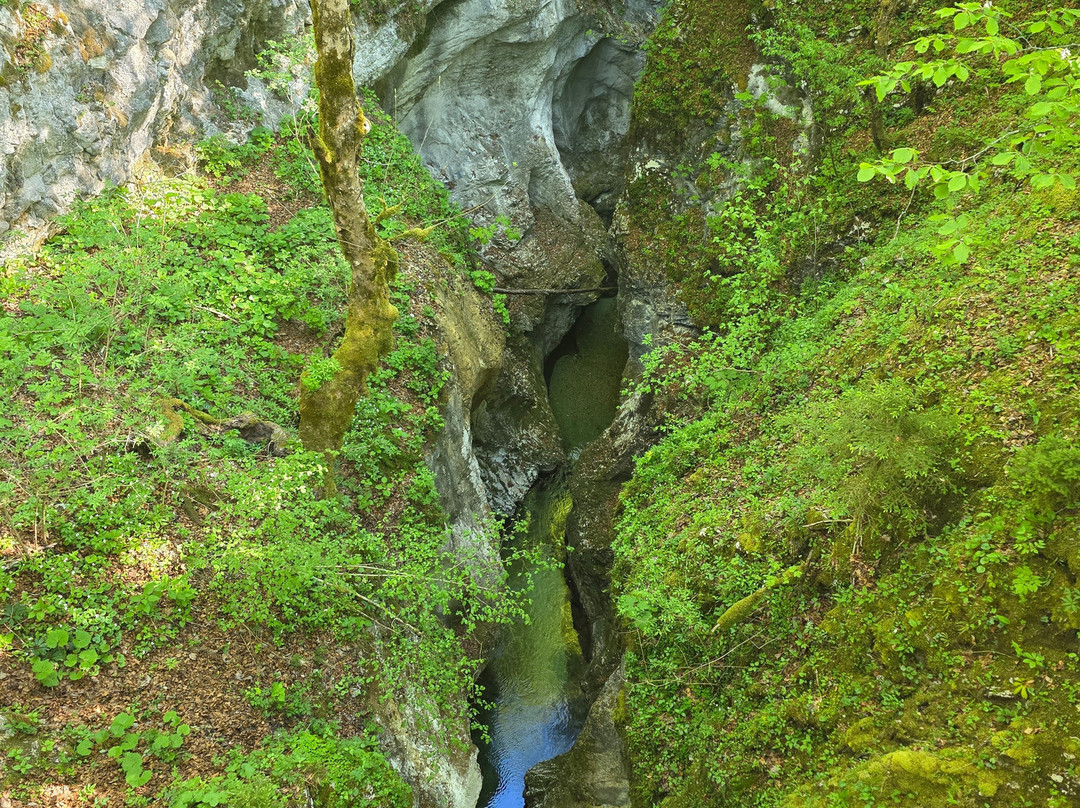 Hike&Bike Slovenia-博希尼湖必去景点