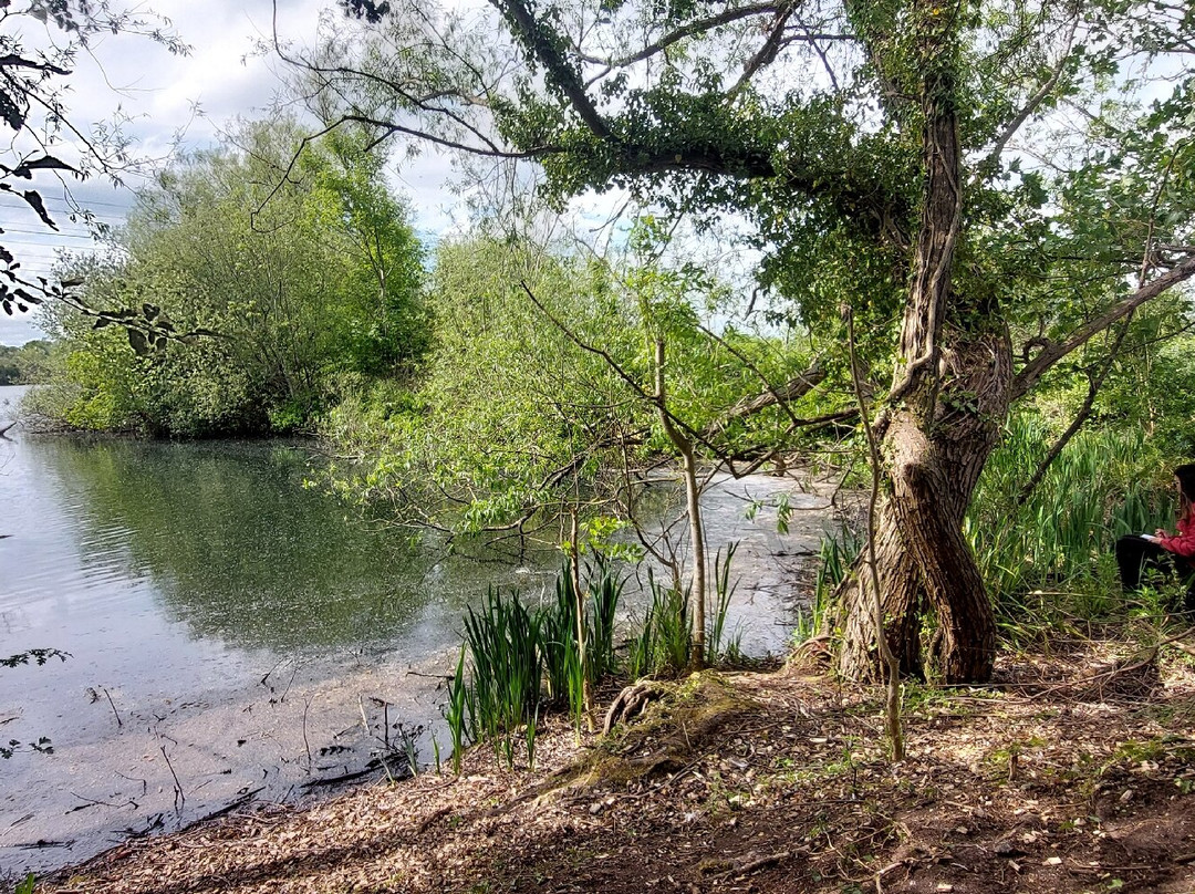 Lee Valley Country Park-沃尔萨姆阿比必去景点