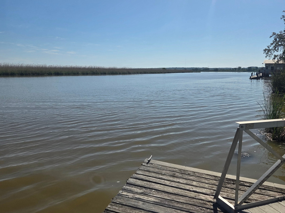 Airboat Express - Tours-Spanish Fort必去景点