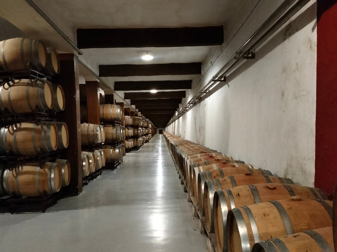 Bodegas Franco Espanolas-洛格罗尼奥必去景点