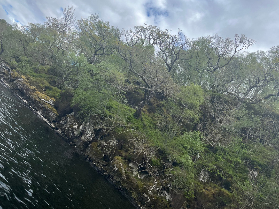 Fish On Scotland-Killin必去景点