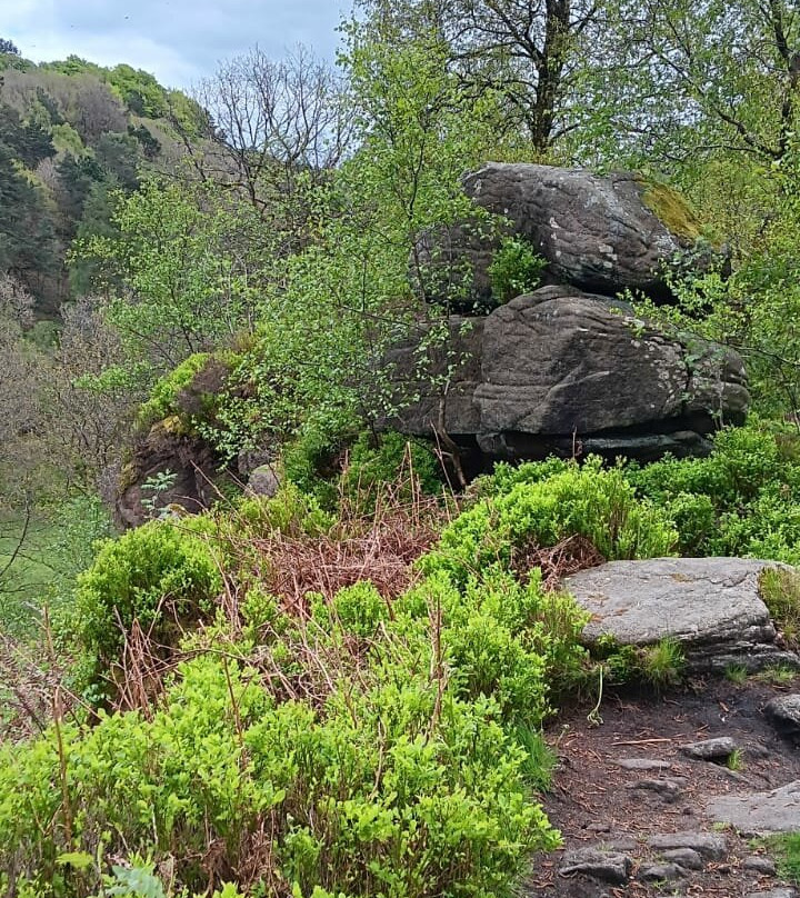Hardcastle Crags-Hebden Bridge必去景点