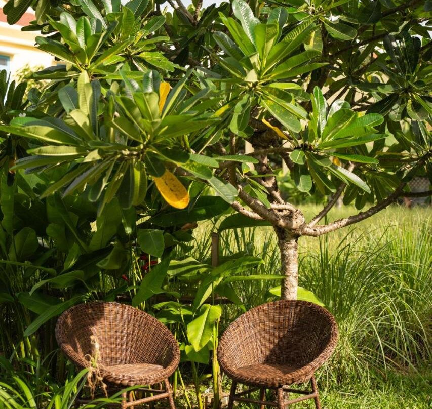 Serene Beach Hoian