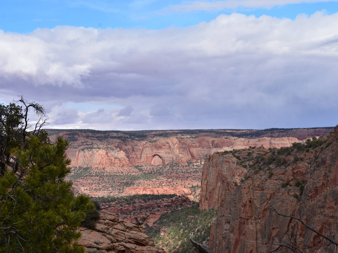 Navajo National Monument-Shonto必去景点