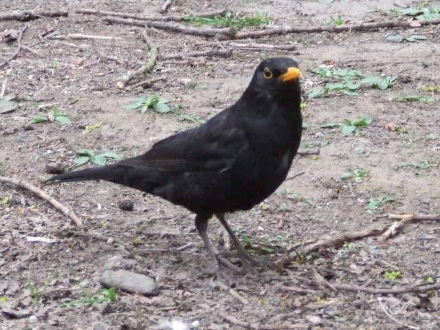 RSPB Titchwell Marsh-Titchwell必去景点