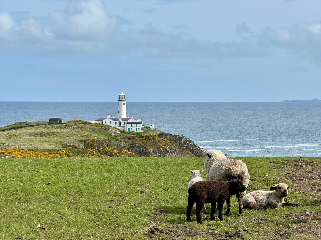 Luxury Irish Tours-戈尔韦必去景点