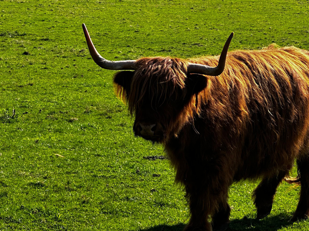 Invergordon Shore Excursions and Tours-Invergordon必去景点