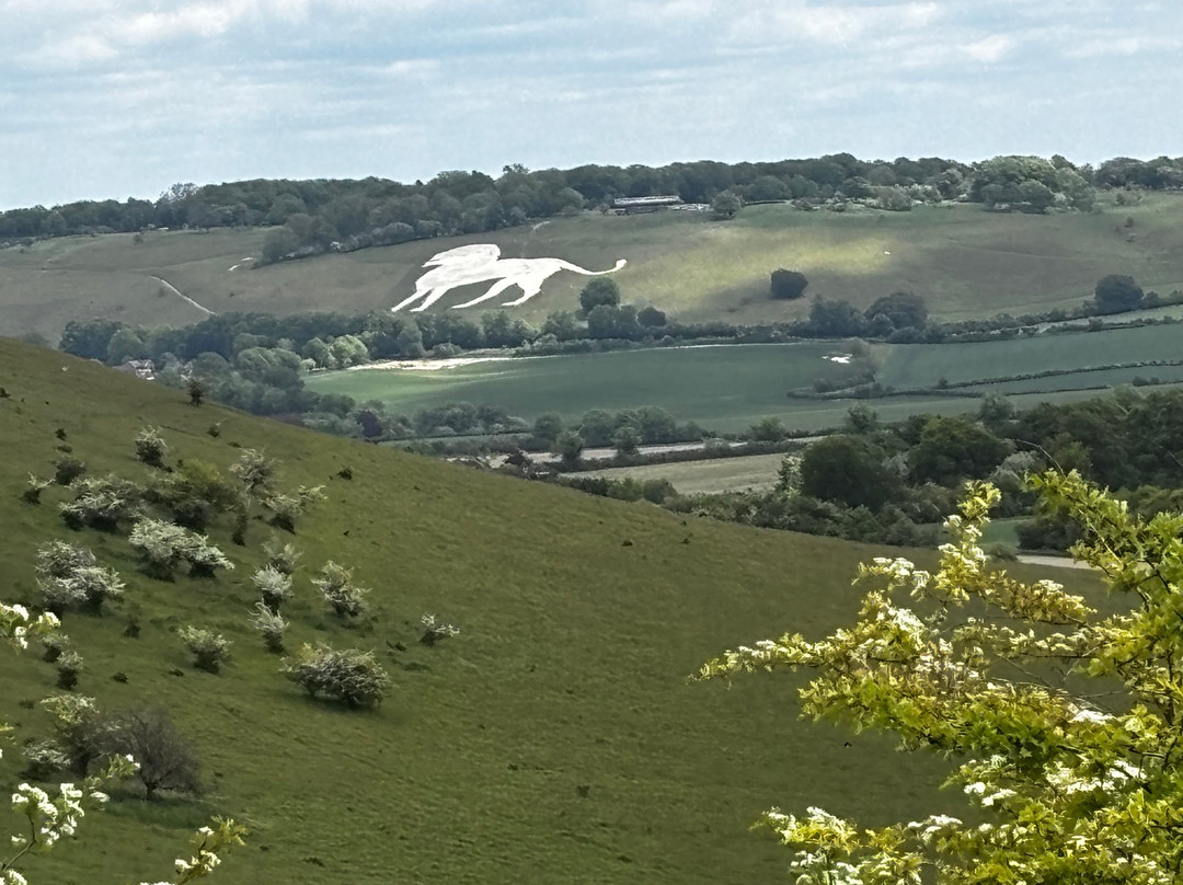 National Trust - Ashridge Estate-Berkhamsted必去景点