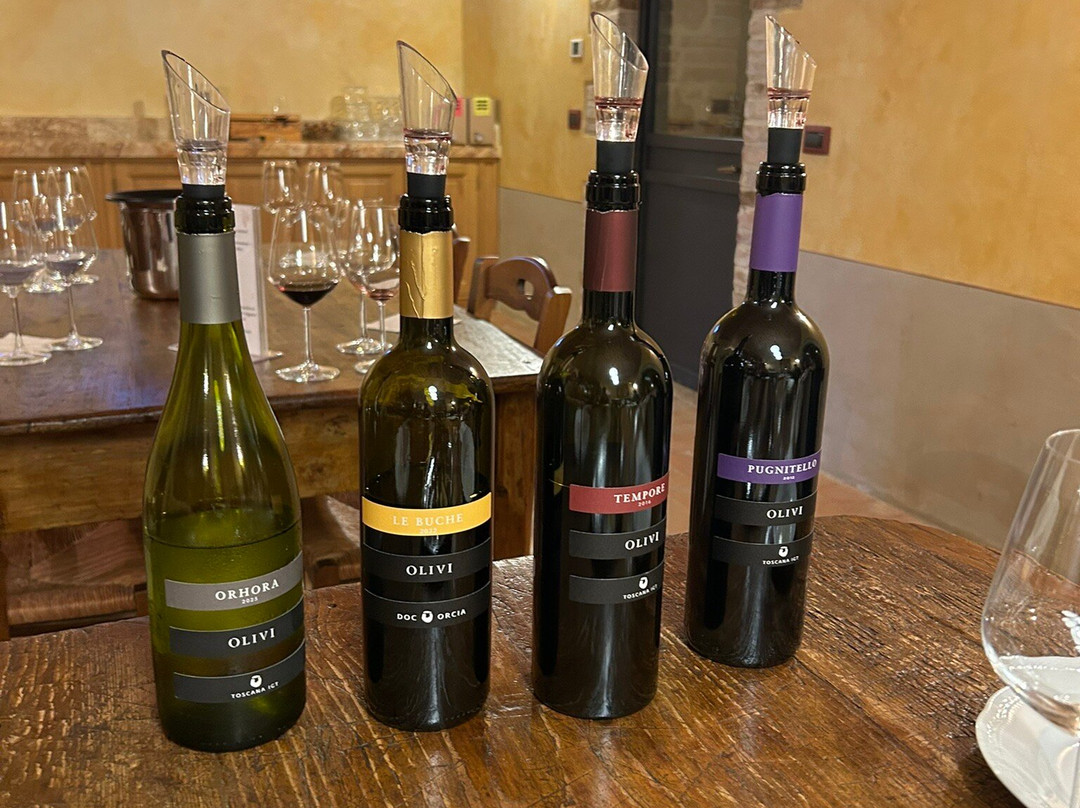 Olivi Le Buche Winery-Sarteano必去景点