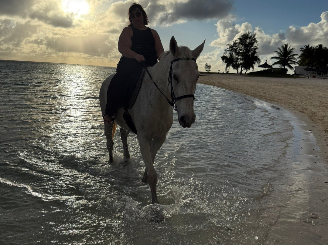 Legasea Stables Mauritius-Quatre Cocos必去景点