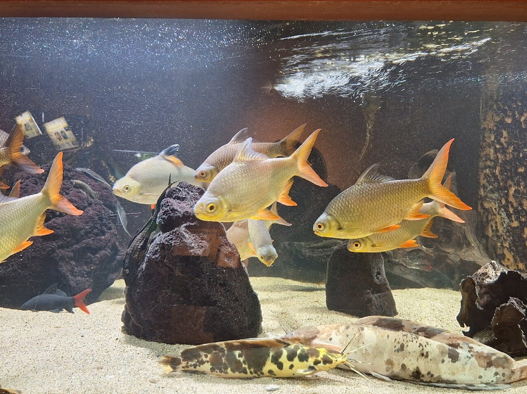 Aquarium Des Tropiques-Allex必去景点
