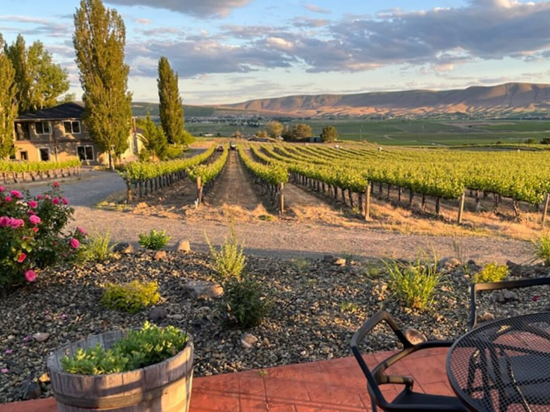 Avennia Estate Tasting Room