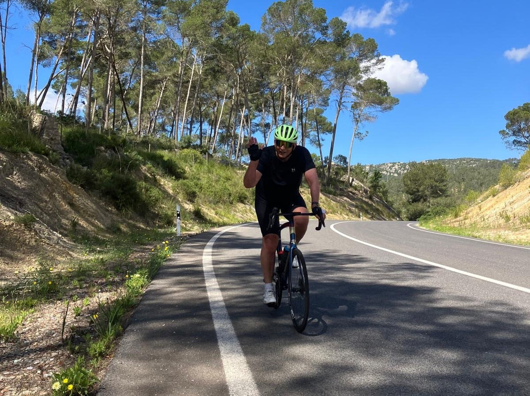 Clips Mallorca Cycling | bike rental Can Pastilla-坎帕斯蒂利亚必去景点