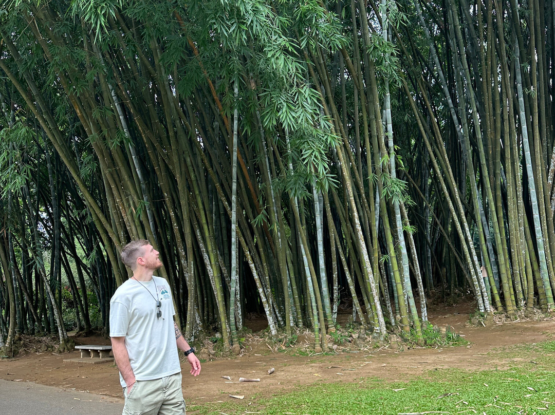 Ceylon Escapes-科伦坡必去景点