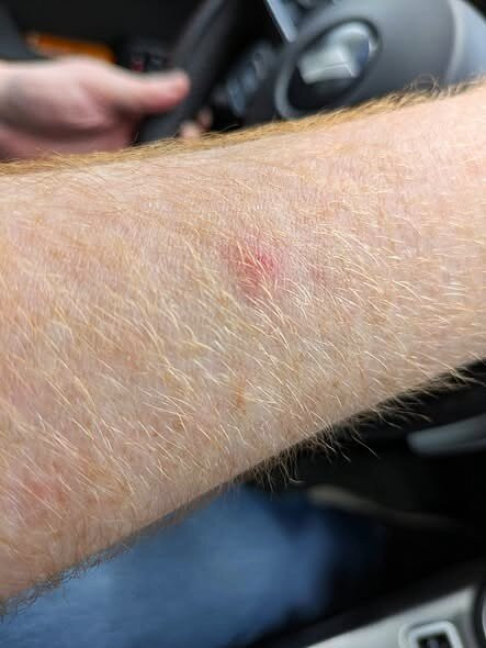 罗克波特格伦科夫套房宾馆主图