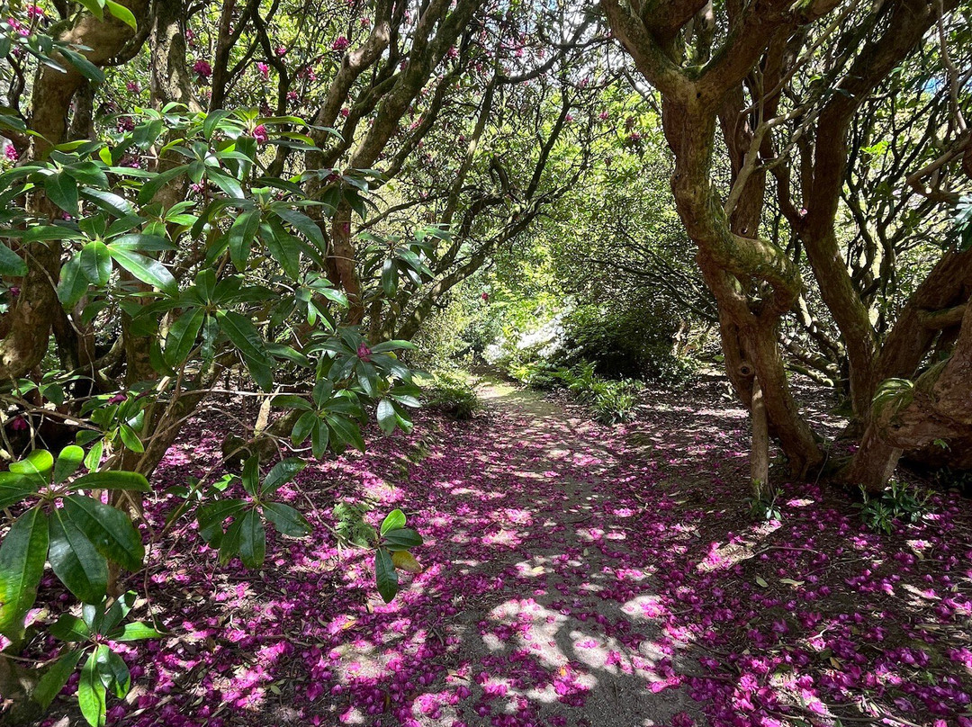 Unique Devon Tours-牛顿阿伯里必去景点