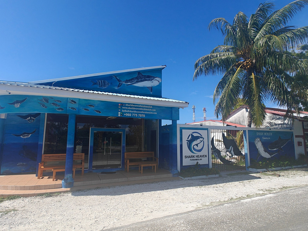 Shark Heaven Fuvahmulah-Dhoondigan必去景点