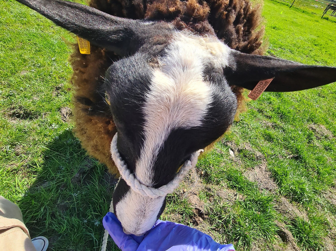 Craigbank Farm