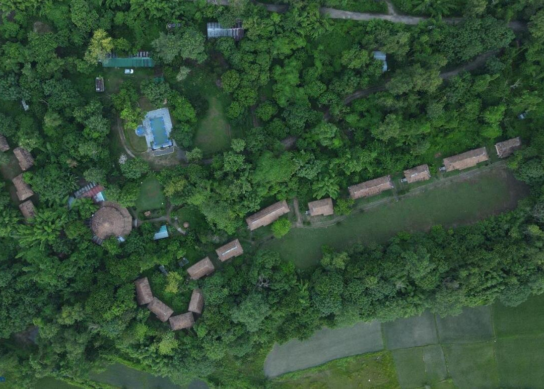 Temple Tiger Jungle Resort