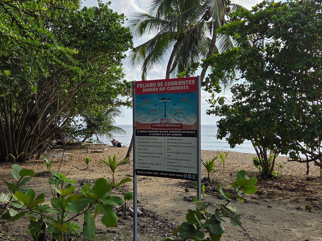 Domes Beach-吕康必去景点