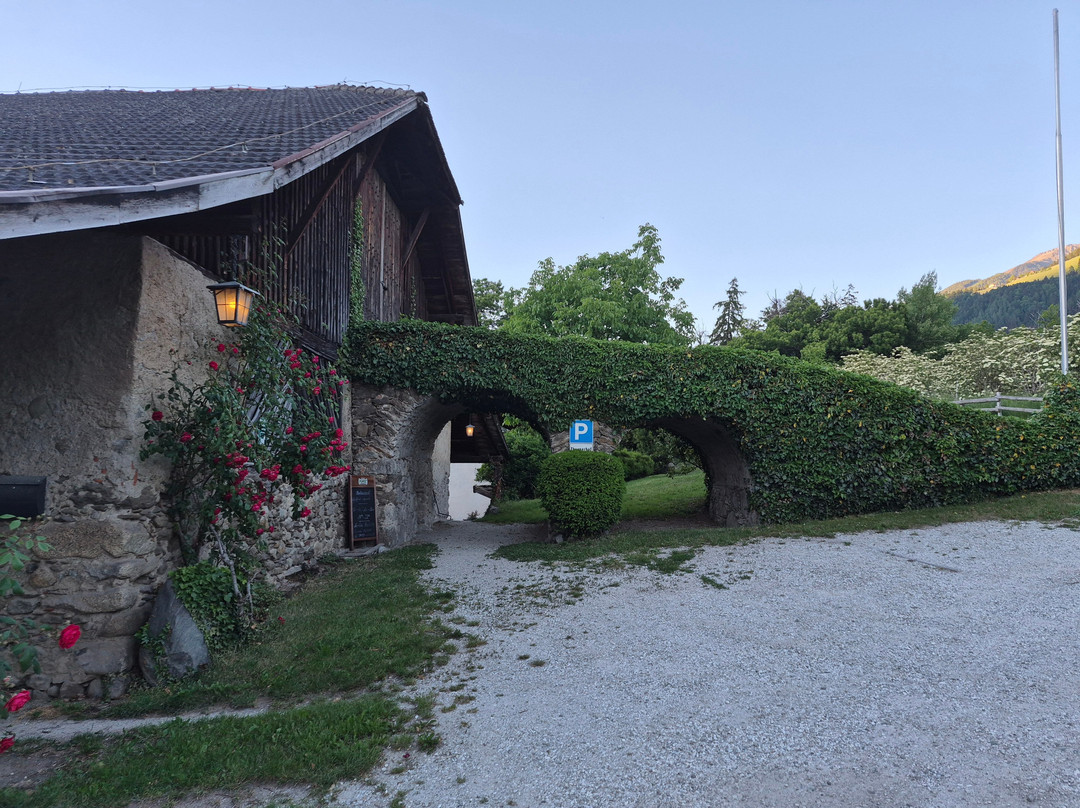 Thurnerhof-谢纳必去景点