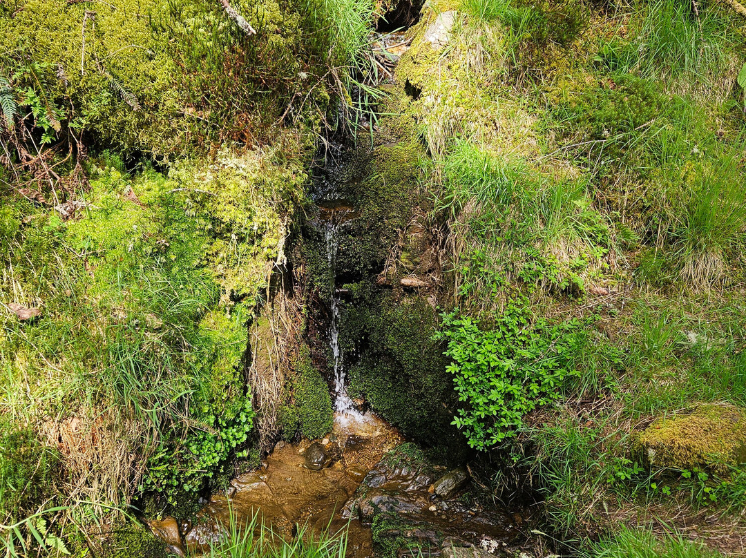 Benmore Botanic Garden-Benmore必去景点