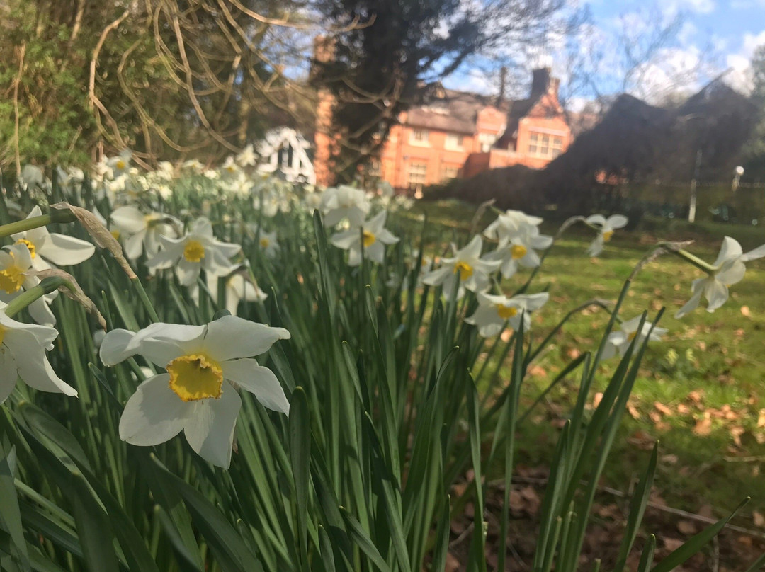 Bannatyne Health Club & Spa - Bury St Edmunds-圣埃德蒙兹伯里必去景点