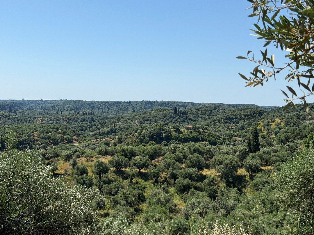The Olive Routes-Androusa必去景点