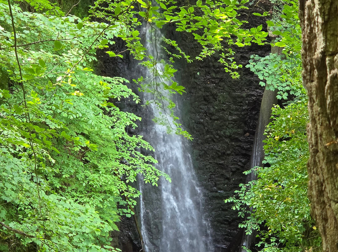 Falling Foss Tea Garden And Waterfall-惠特比必去景点