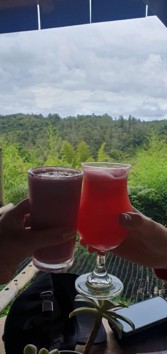 乐威特华丽露营酒店-旅行者