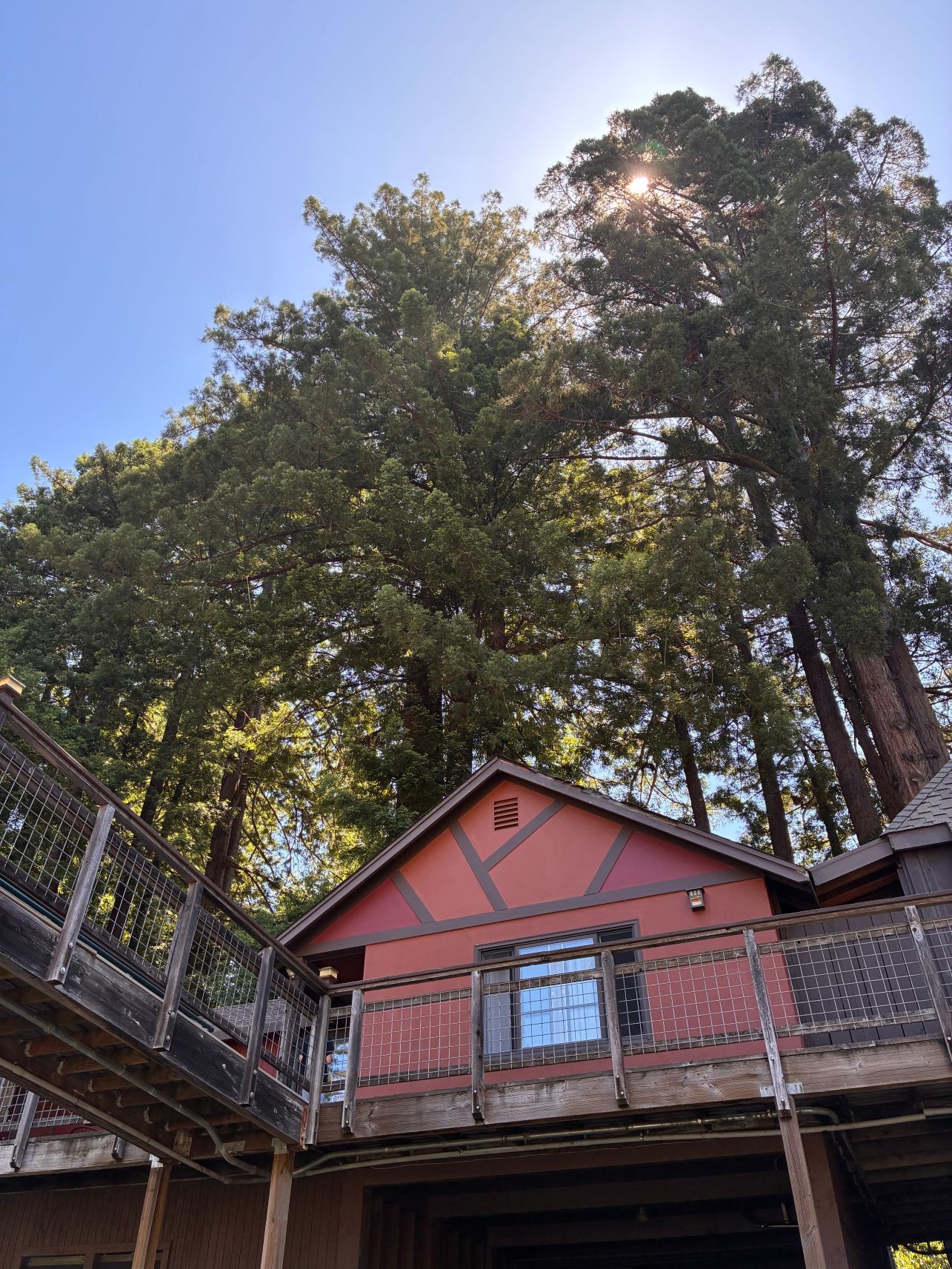 Creekside Inn & Resort-旅行者