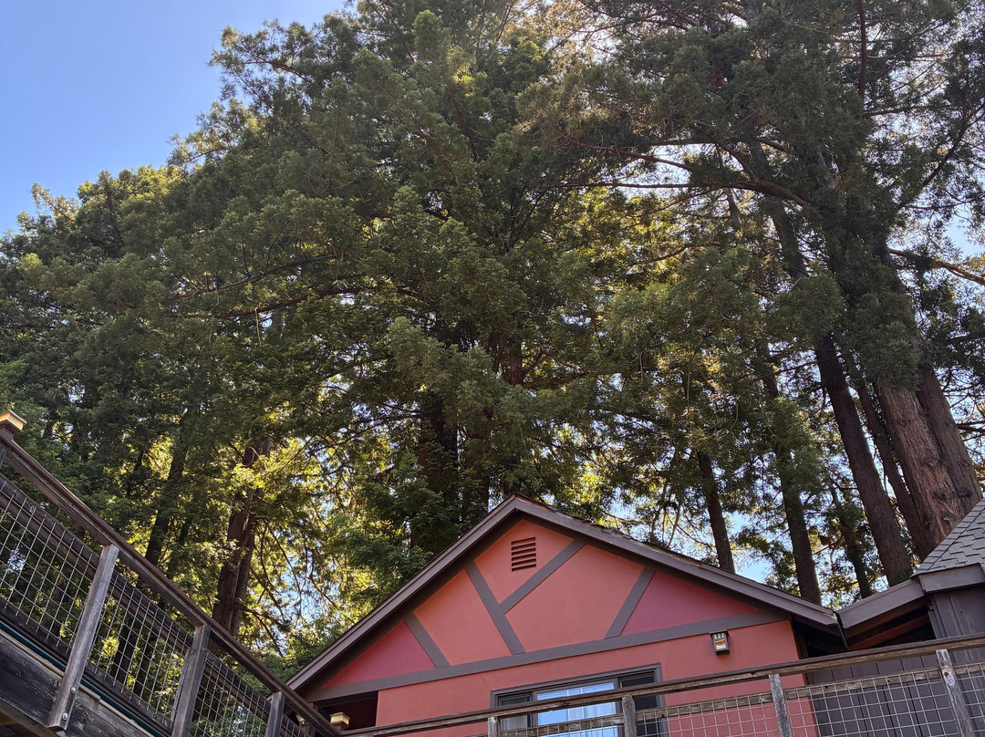 Creekside Inn & Resort主图