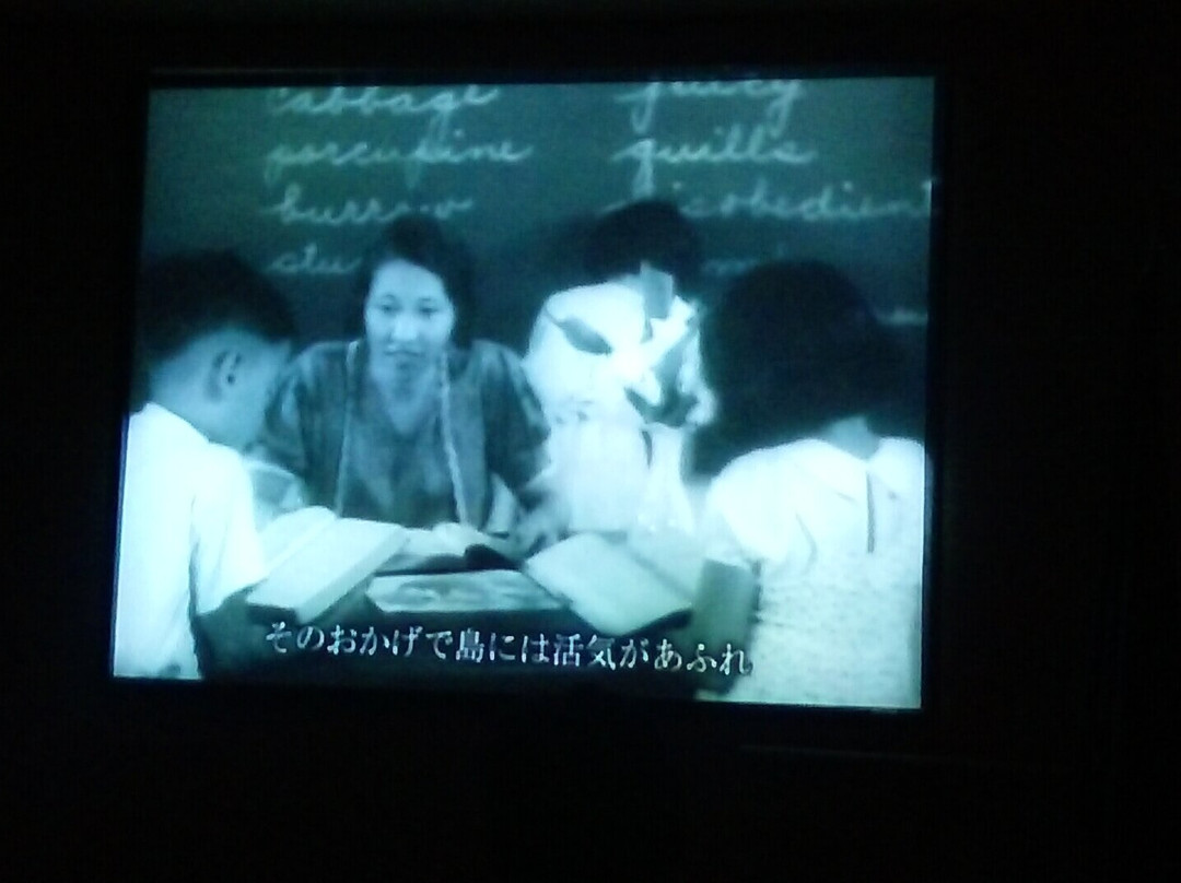 T Stell Newman Visitor Center-Santa Rita必去景点