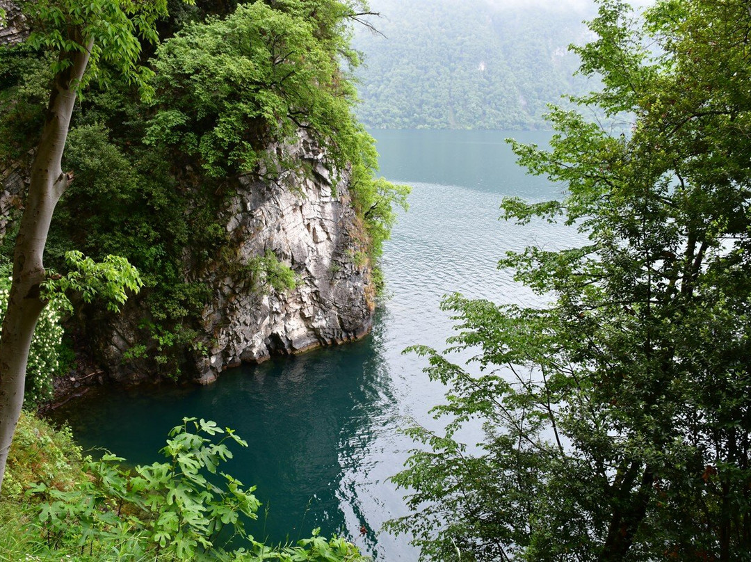 The Olive Grove Trail-卢加诺必去景点