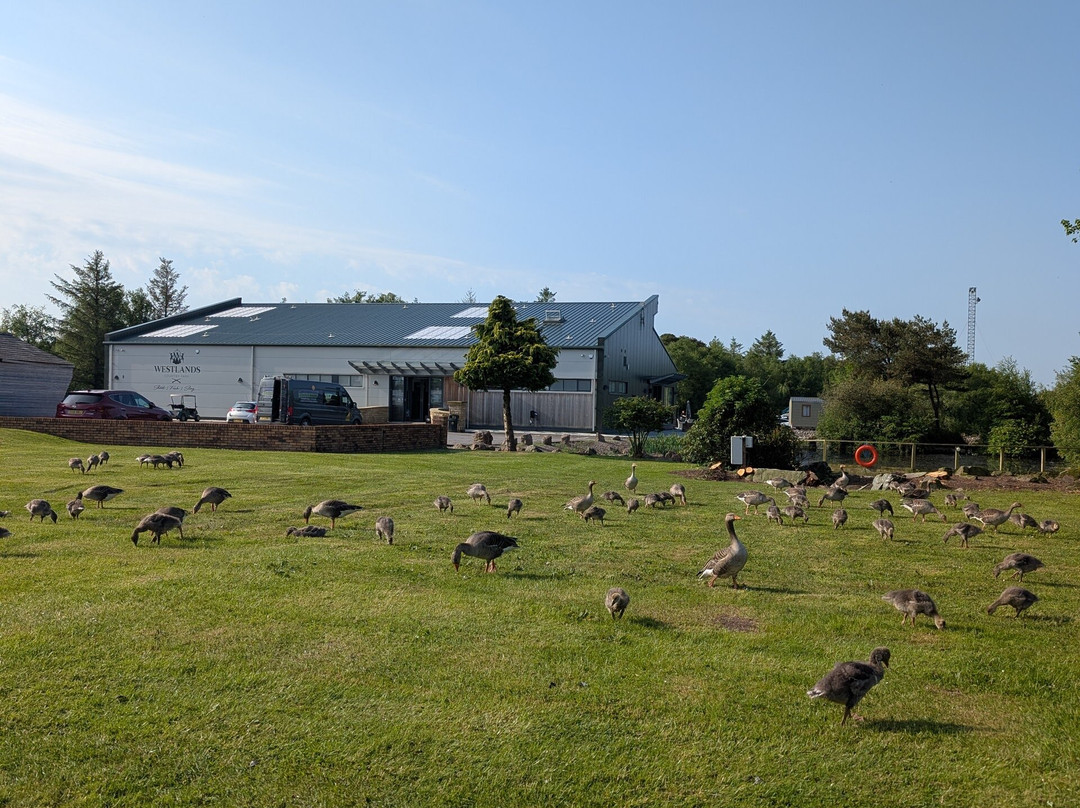 Westlands Country Park-Kirkpatrick Fleming必去景点