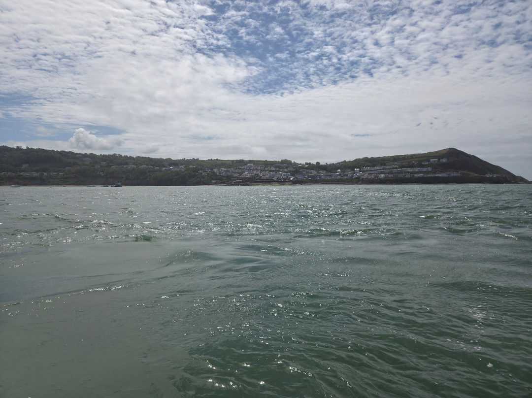 Dolphin Spotting Boat Trips (by New Quay Boat Trips)-纽基必去景点