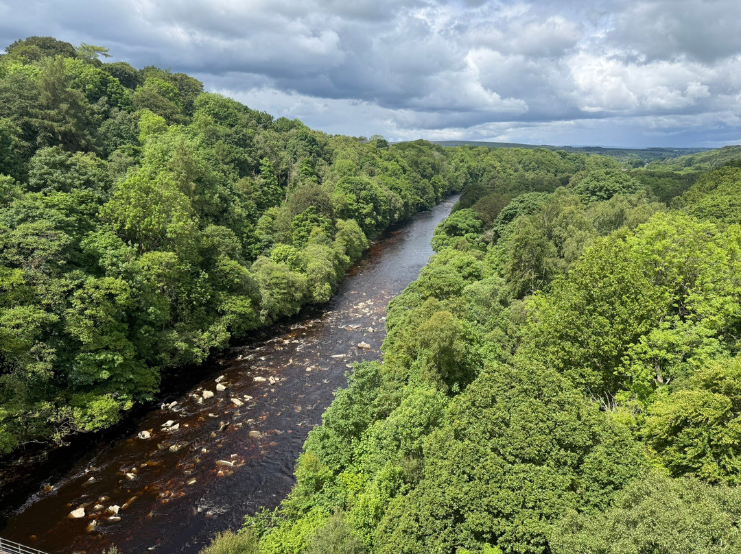 Lambley Viaduct-Lambley必去景点