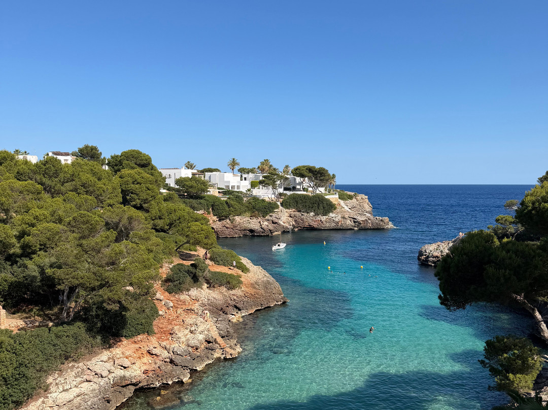 AluaSoul Mallorca Resort - Adults Only主图