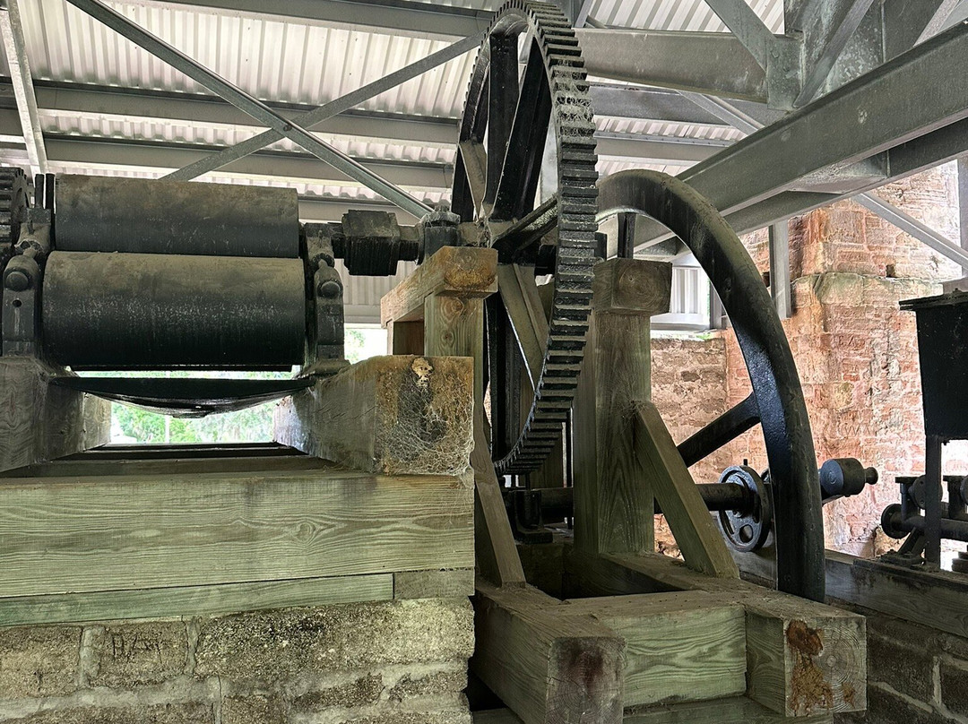 Dunlawton Sugar Mill Gardens-珀特奥兰治必去景点
