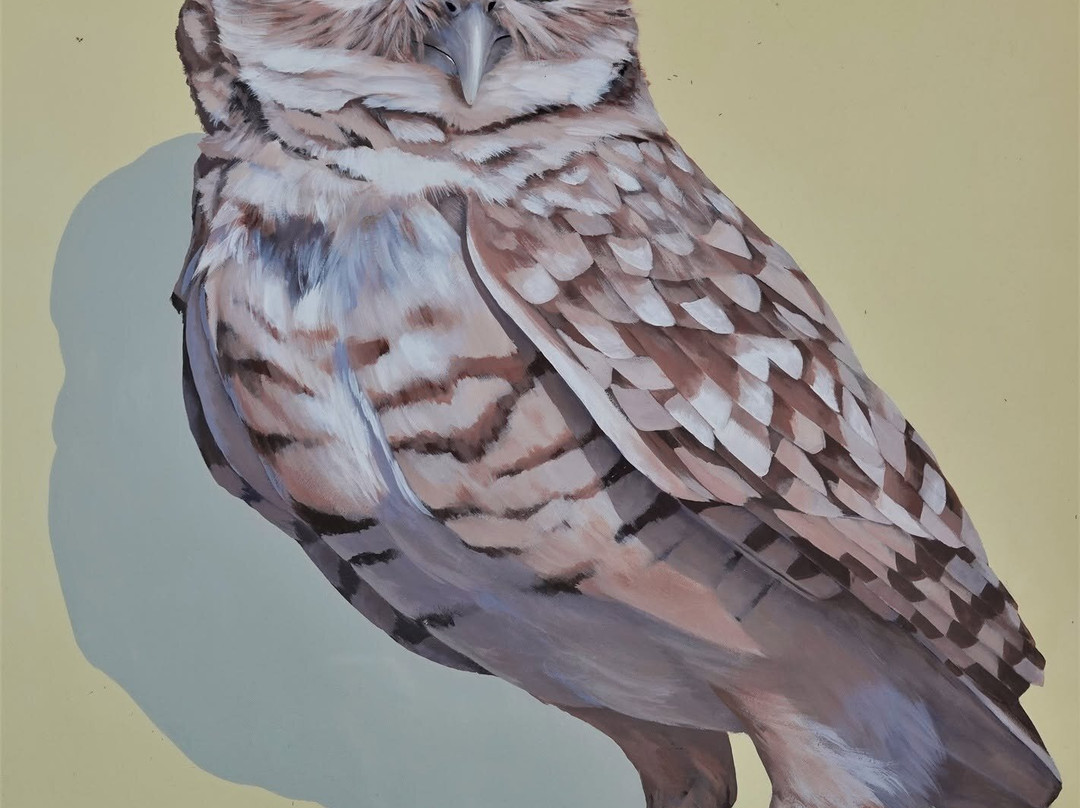 Street Murals By Aruba Art Fair-San Nicolas必去景点