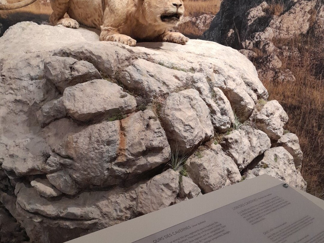 Grotte Chauvet 2 Ardèche-瓦隆蓬达尔克必去景点