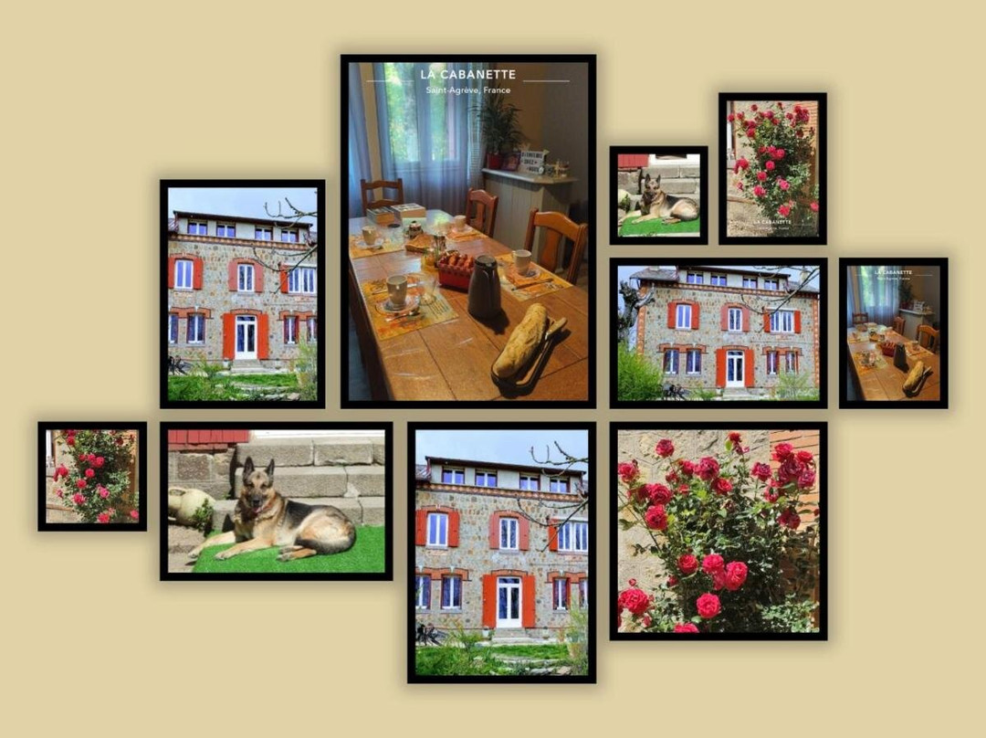 Saint-Jeure-d'Andaure酒店住宿-La Cabanette