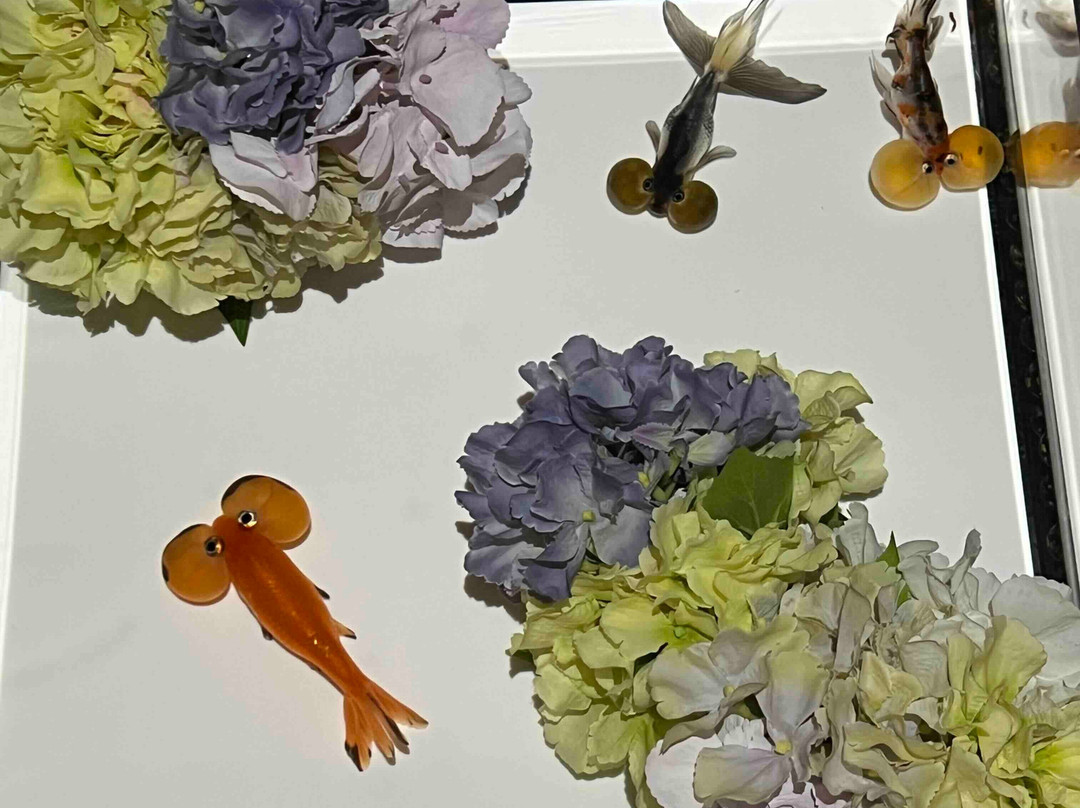 Art Aquarium-Ginza必去景点