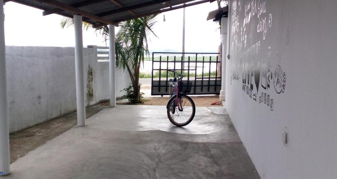 The surf hostel