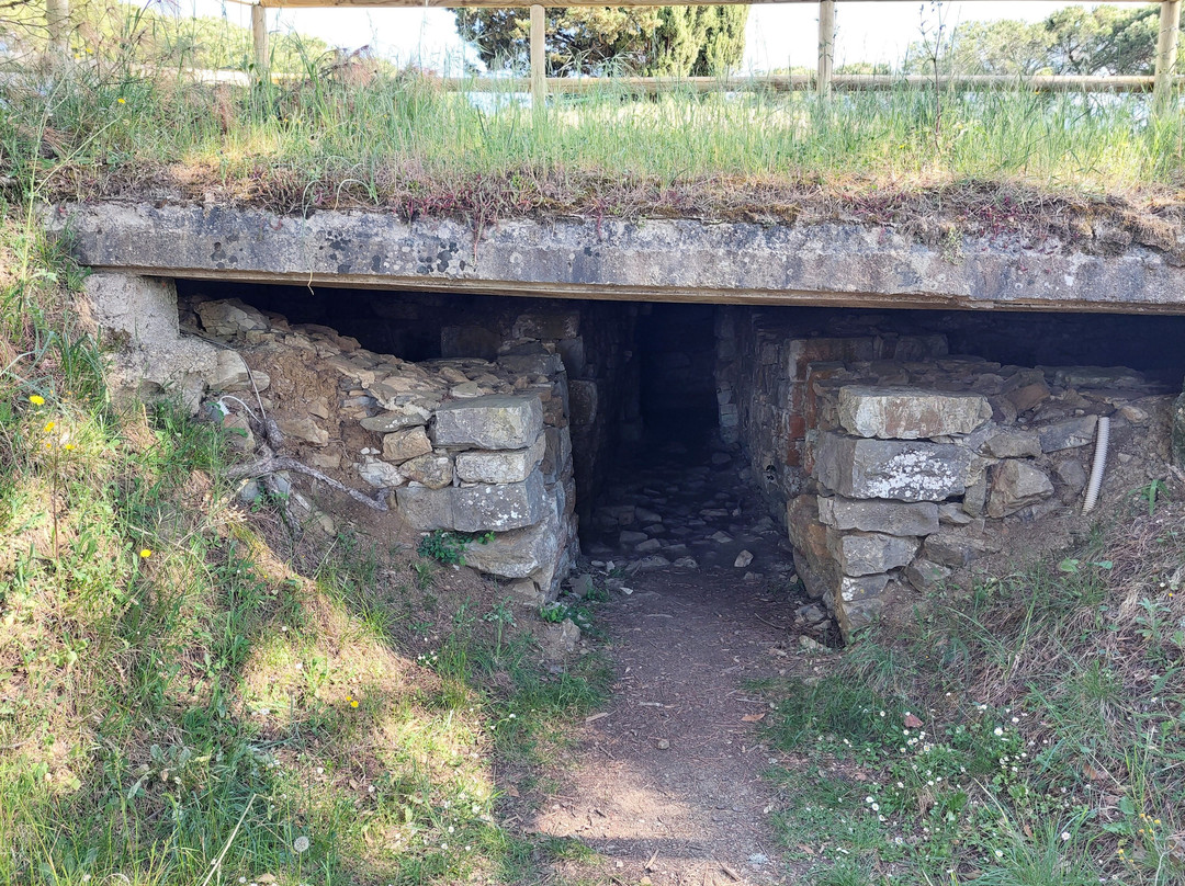 Tombe Etrusche a Montecalvario-卡斯特利纳－因基安蒂必去景点