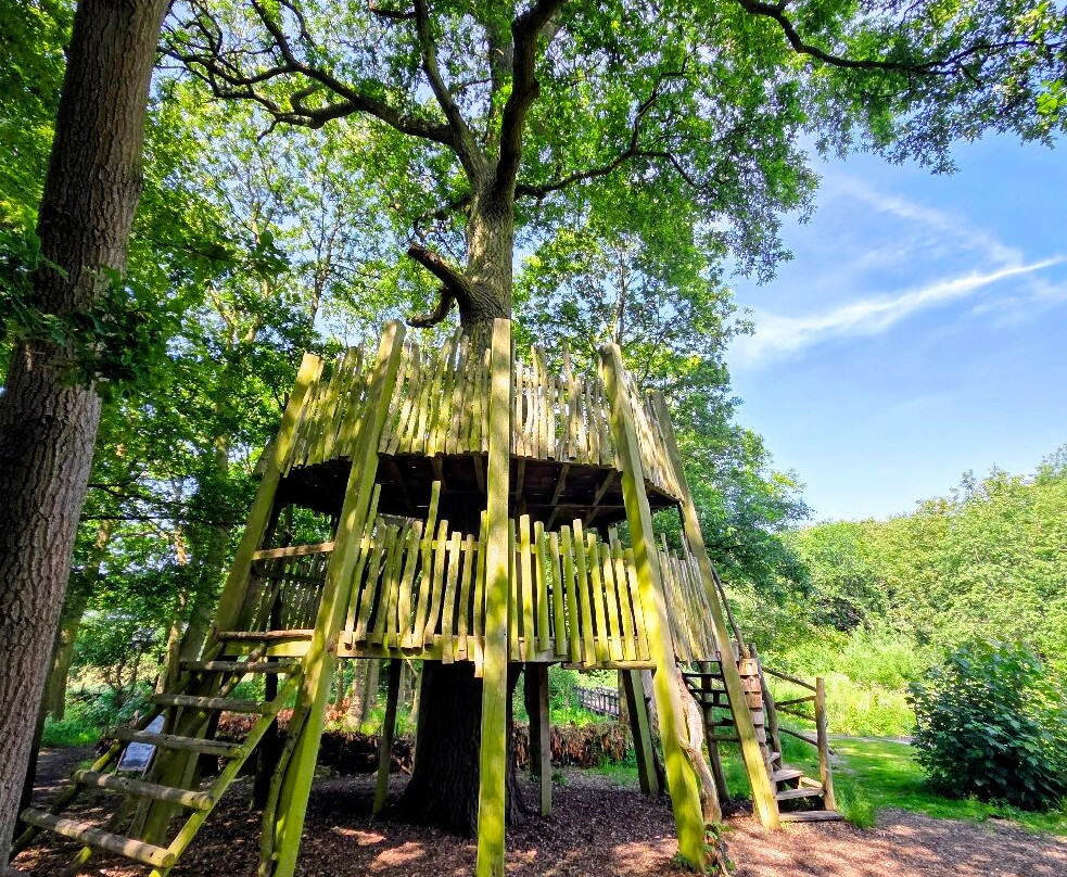 National Trust - Moseley Old Hall-沃尔夫汉普顿必去景点