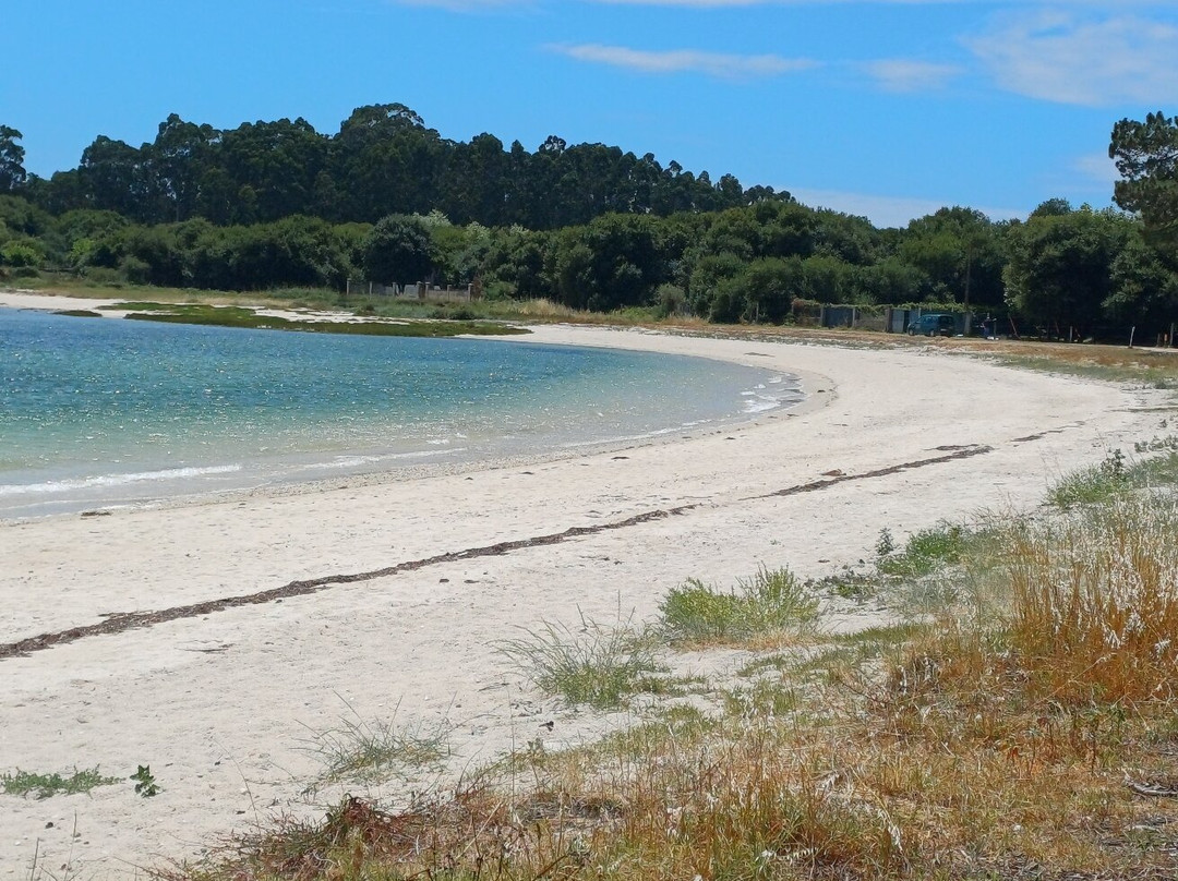 Concello da Illa de Arousa-Illa de Arousa必去景点