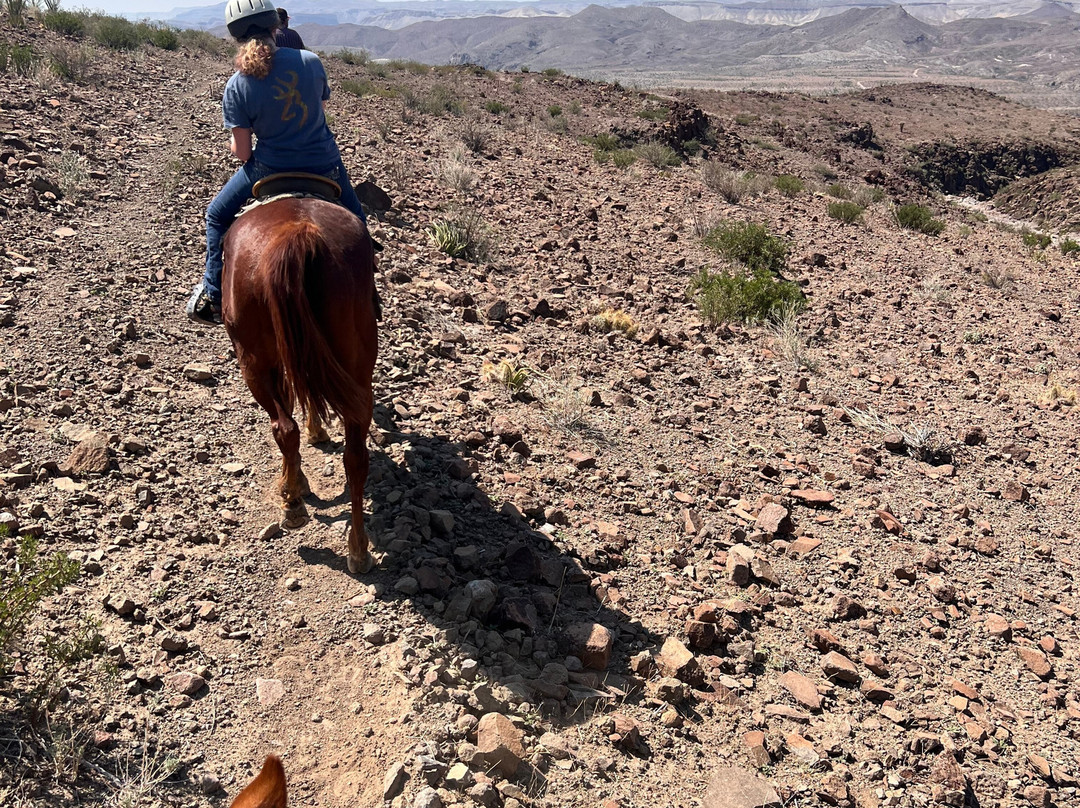 Big Bend & Lajitas Stables-Terlingua必去景点